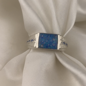 Pave Accent Ashes Signet Ring
