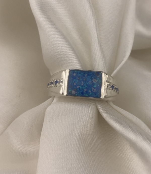 Pave Accent Ashes Signet Ring